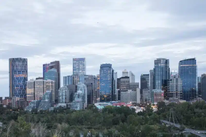 Calgary’s Top Reasons to Choose Professional Pest Control Services