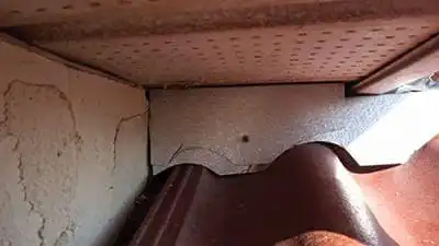 Squirrel roof entry point sealed with hardware cloth after removal in Calgary