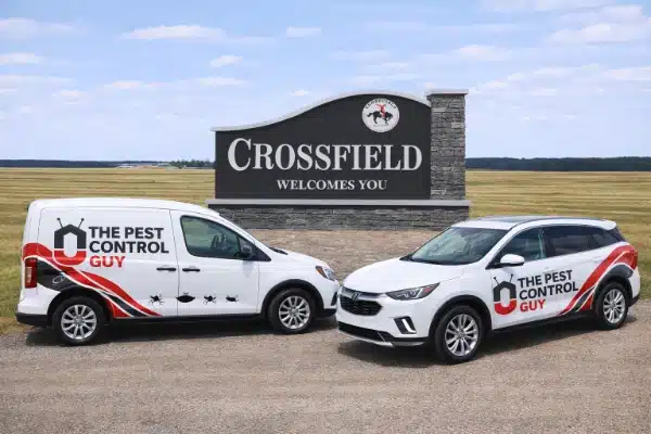 Pest control service in Crossfield, Alberta, a farm town north of Airdrie