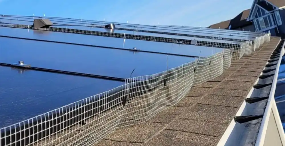 Bird-proofing mesh installed around solar panels on a Calgary roof